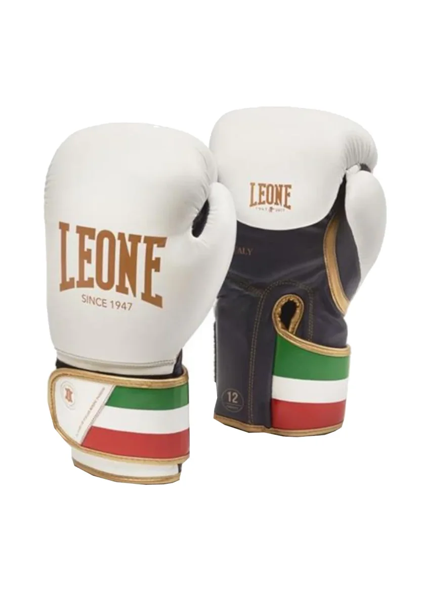 LEONE GUANTONI BOXE ITALY - immagine 2
