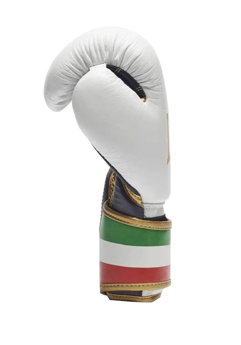LEONE GUANTONI BOXE ITALY - immagine 5