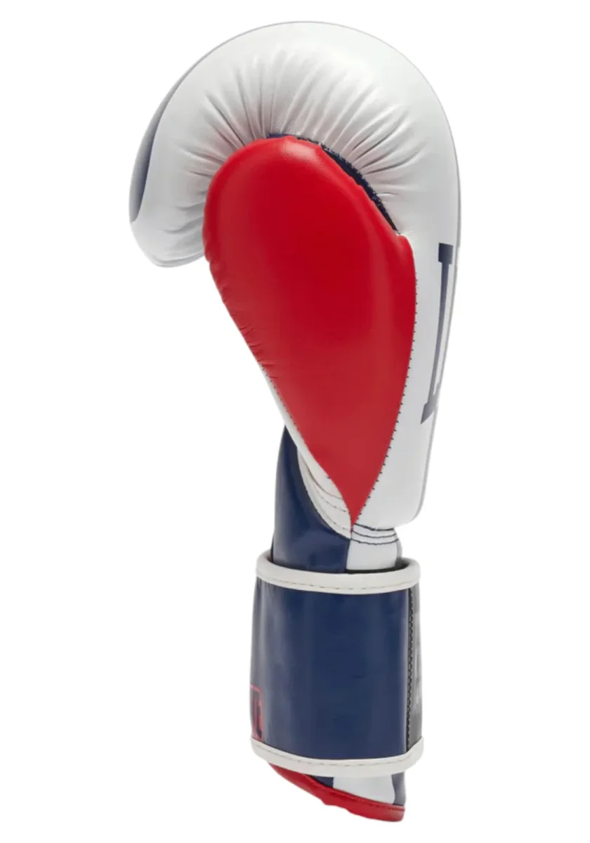 GUANTI LEONE COLOR BLOCK 10OZ COL 01 - immagine 3