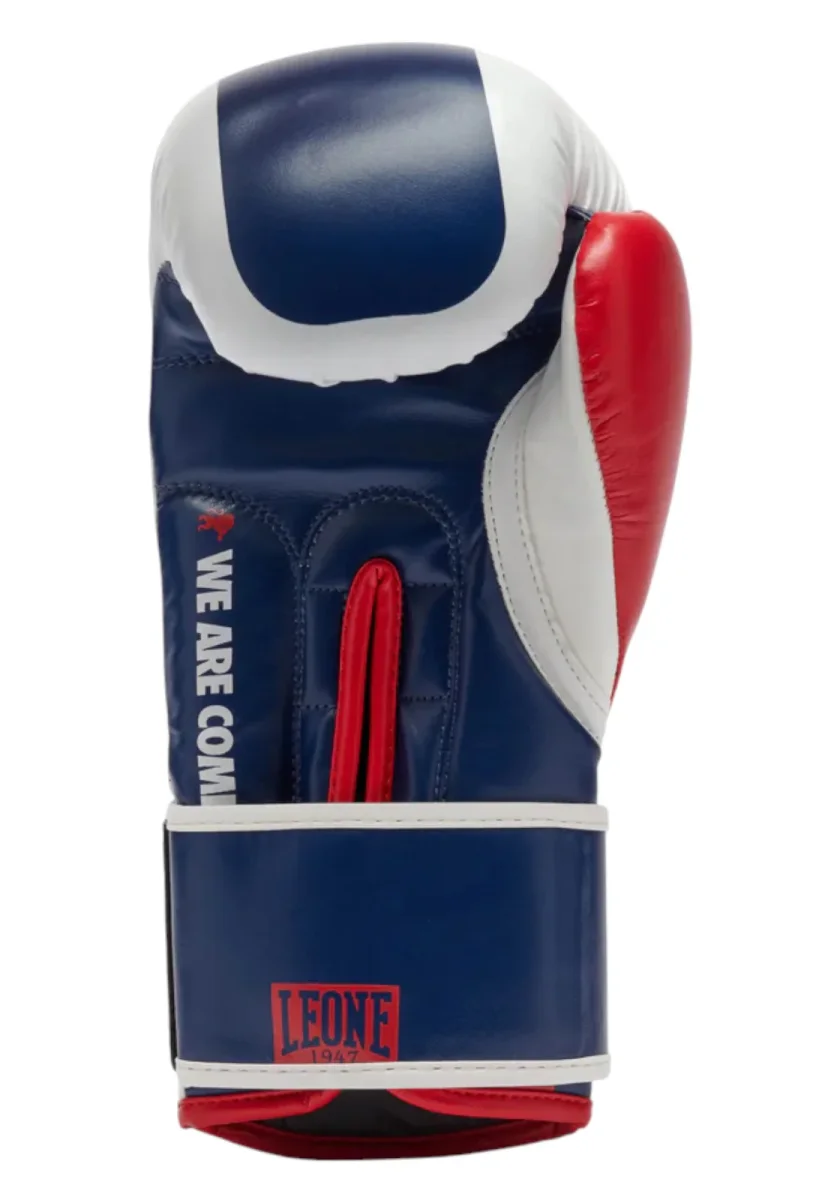 GUANTI LEONE COLOR BLOCK 10OZ COL 01 - immagine 4