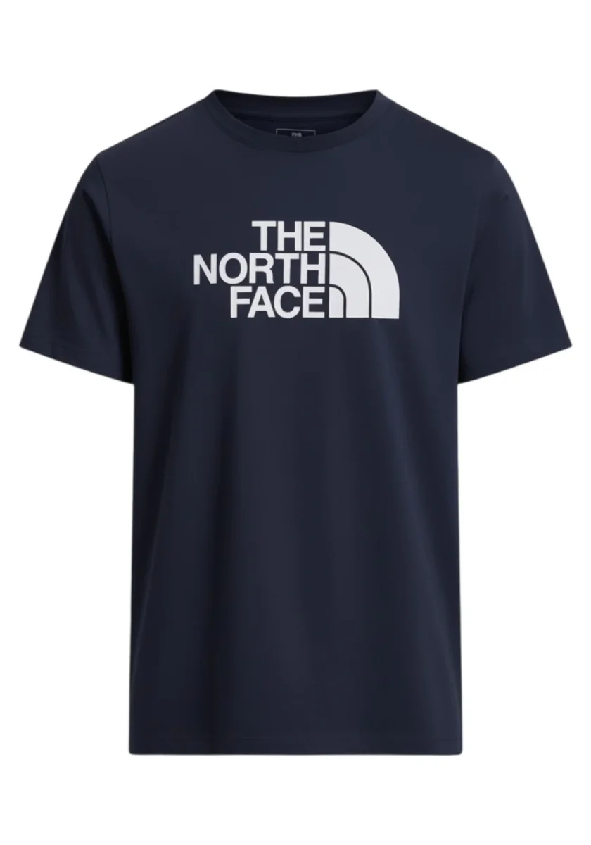 T-SHIRT HTE NORTH FACE EVOLUTION HALF DOME COL I85 - immagine 2