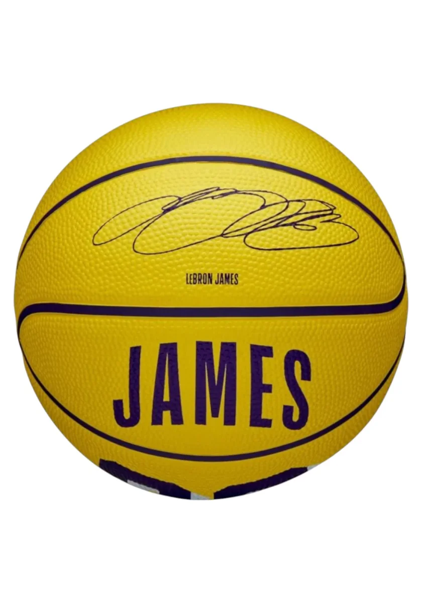 PALLONE BASKET WILSON NBA PLAYER MINI BASKET LEBRON - immagine 2